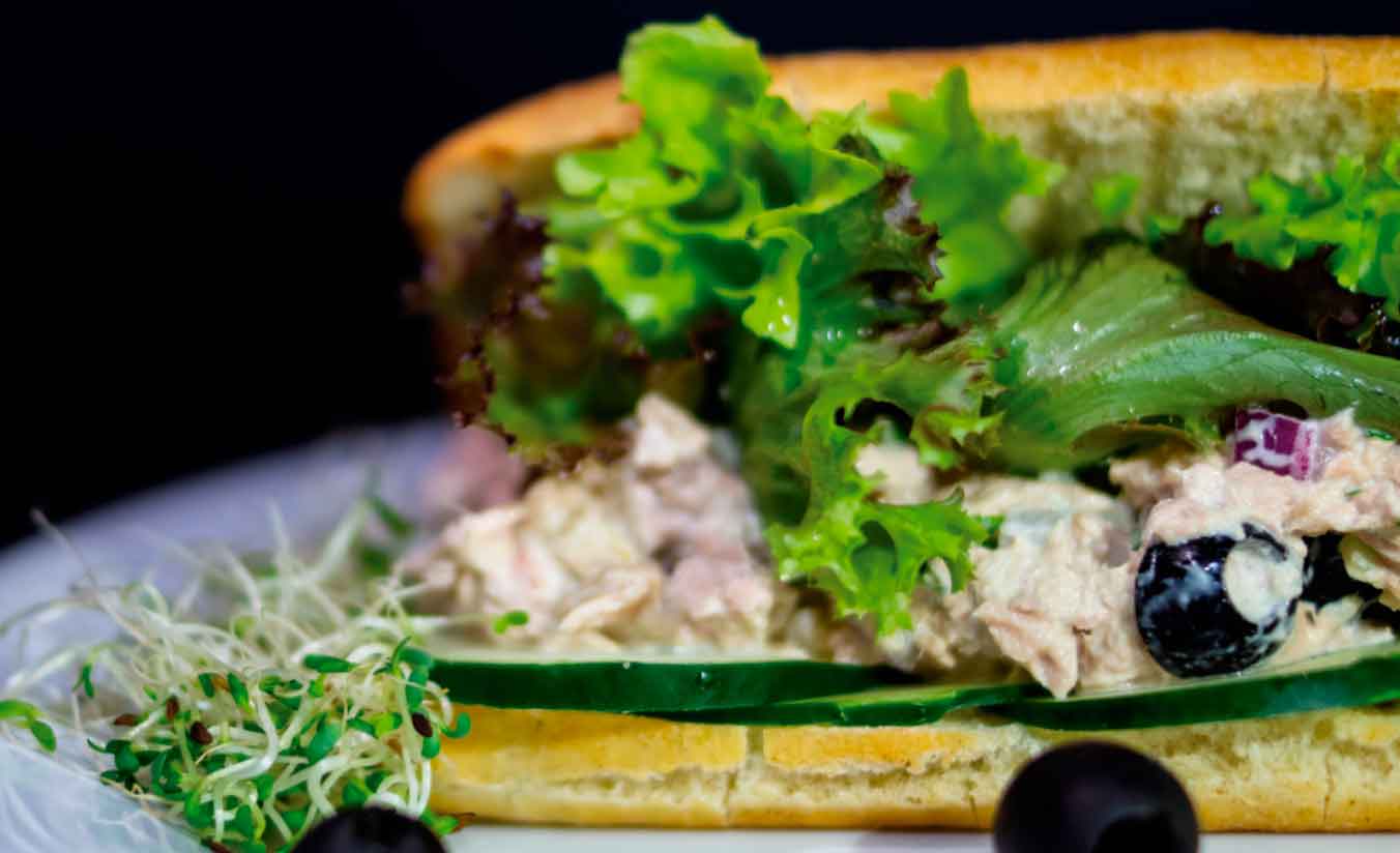 CIABATTA-DE-ATUN-SANDWICHES