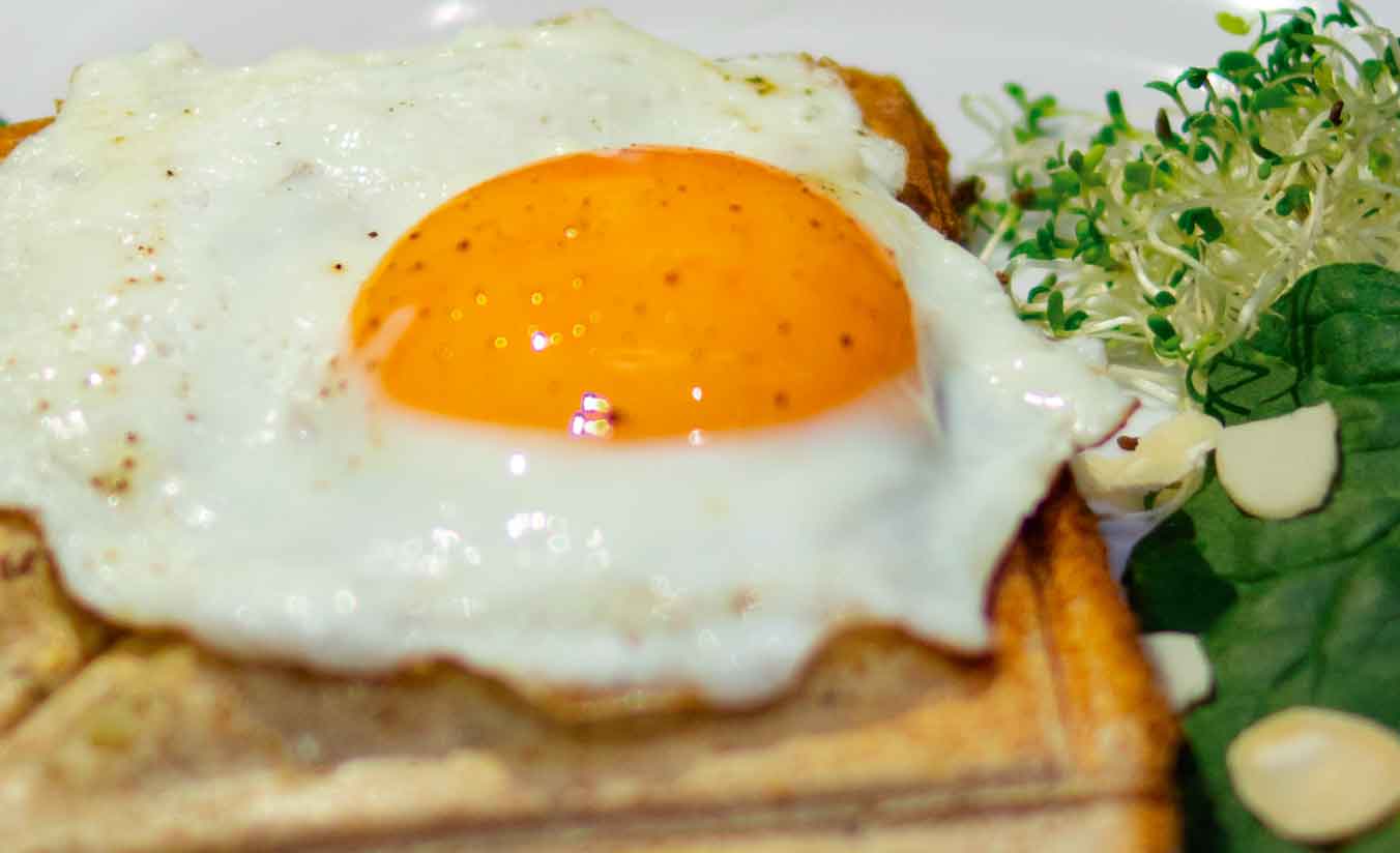 CROQUE-MADAME-SANDWICHES